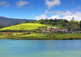 Nuwaraeliya Day Tour Thumb